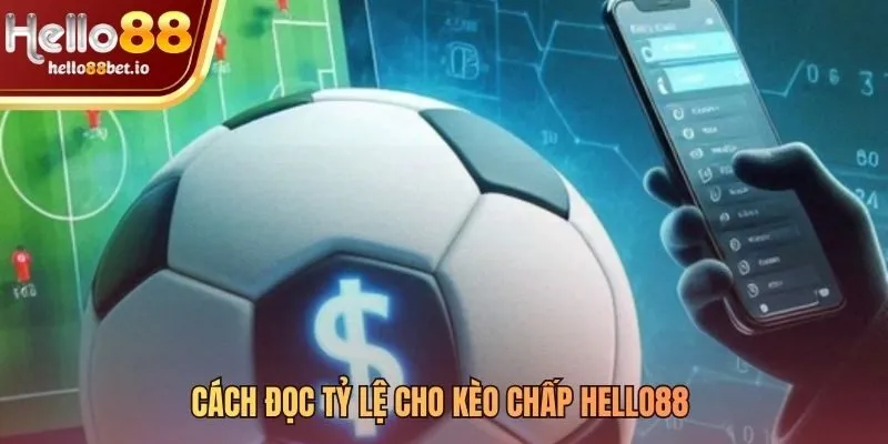 Giải mã ký hiệu và con số trên bảng tỷ lệ